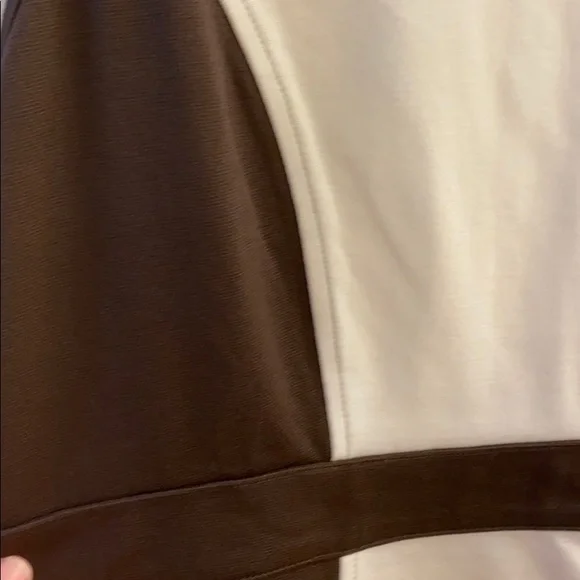 Ann Taylor Brown and Cream Dress Sz 12 NWTS - Picture 2 of 6